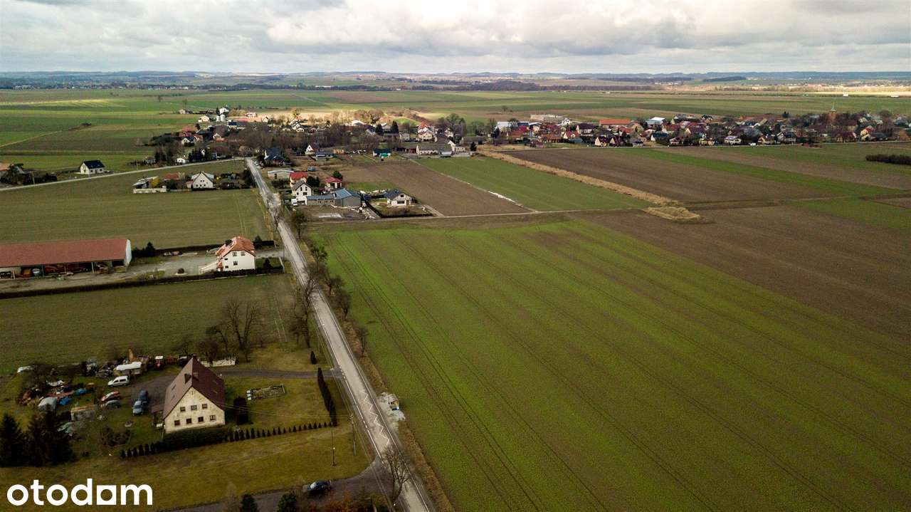 Działka budowlana  Stępin - Pełny obrazek: 2/11