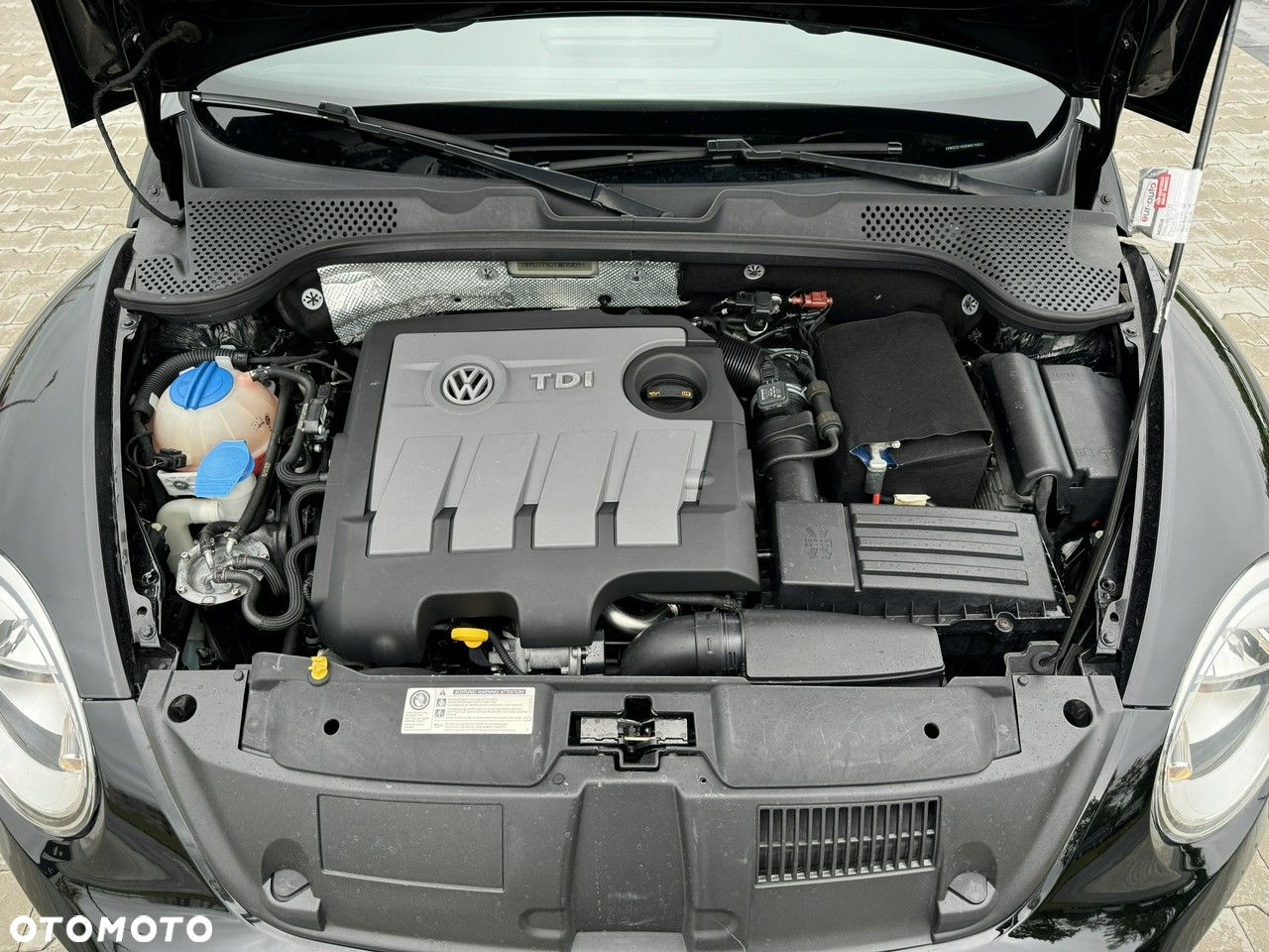 Volkswagen New Beetle - 5