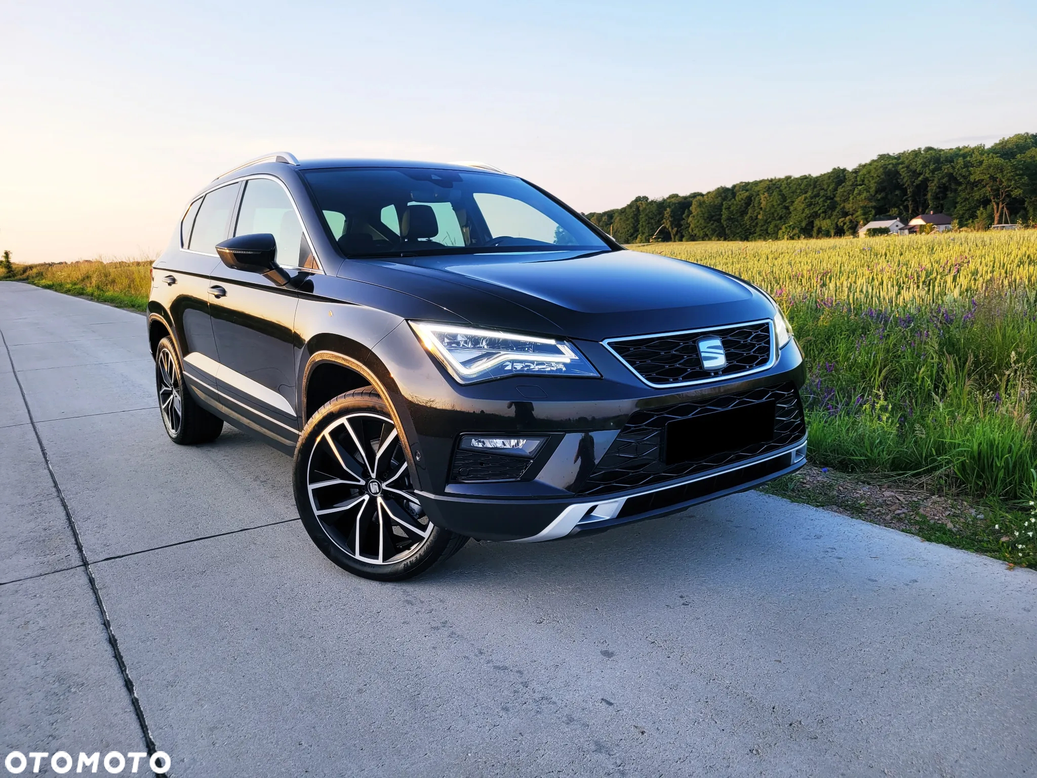 Seat Ateca 2.0 TDI Xcellence S&S 4Drive DSG - 8