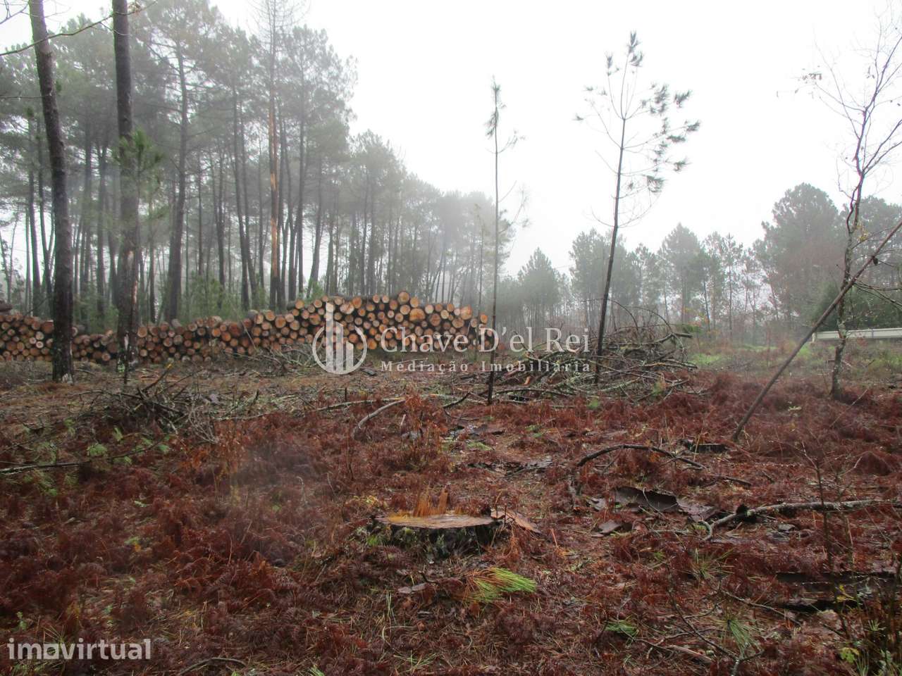 Terreno Para Construção  Venda em Ribafeita,Viseu - Grande imagem: 3/7