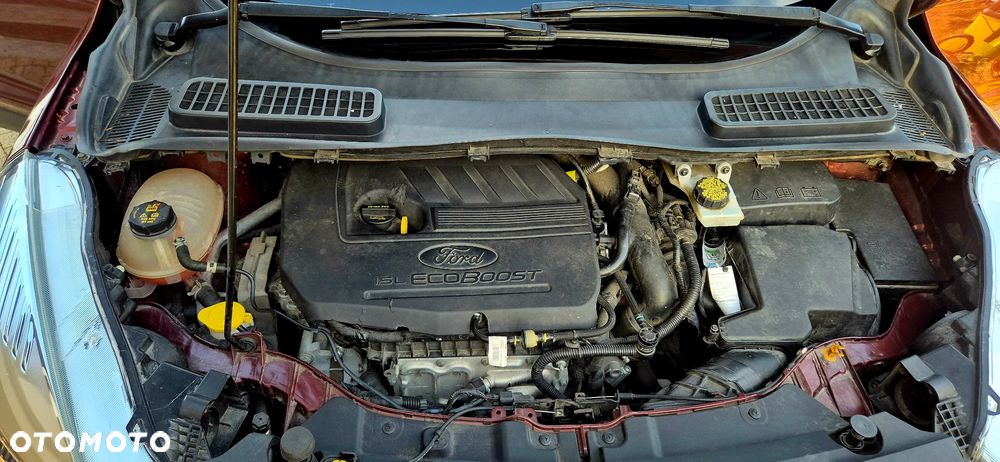 Ford Escape - 18