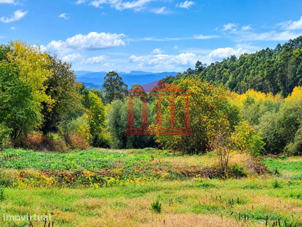 TERRENO AGRÍCOLA PARA VENDA EM PARADA DE GATIM - VILA VERDE - Grande imagem: 2/3