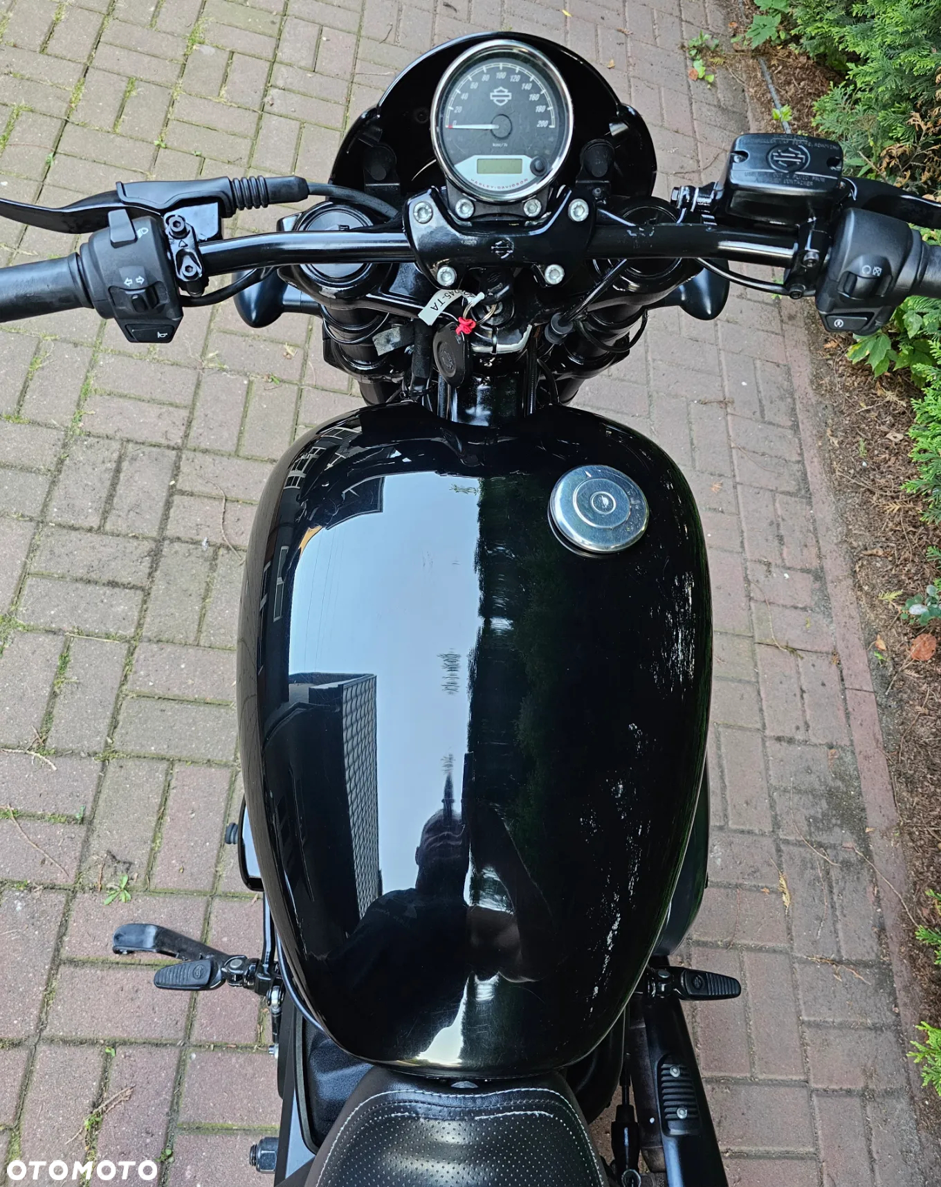 Harley-Davidson Street Rod XG 750A - 19