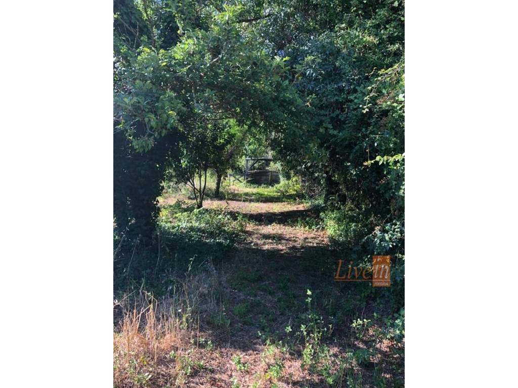 Moradia de Charme em Alenquer - Grande imagem: 5/29