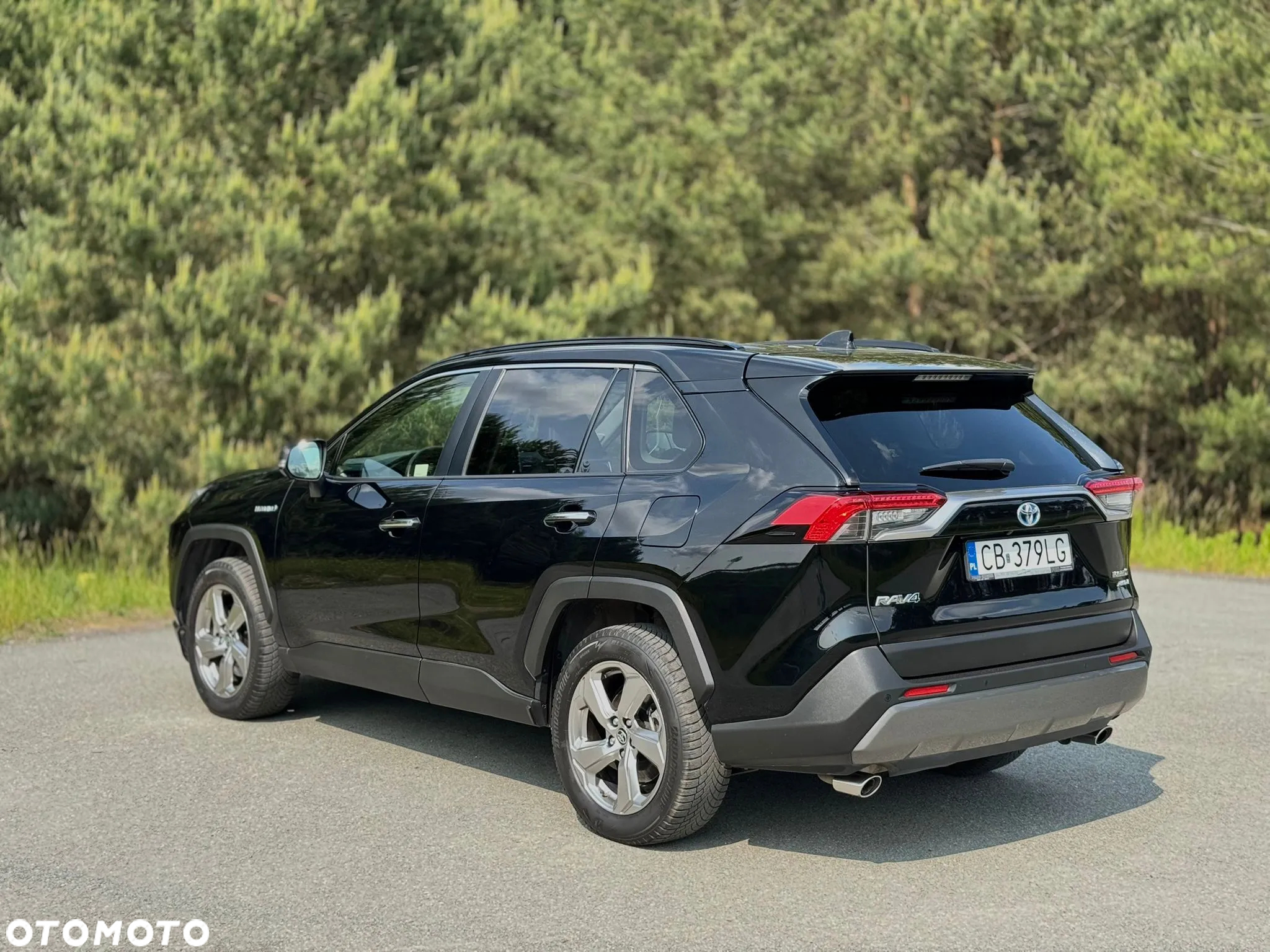 Toyota RAV4 2.5 Hybrid Executive 4x4 - 5