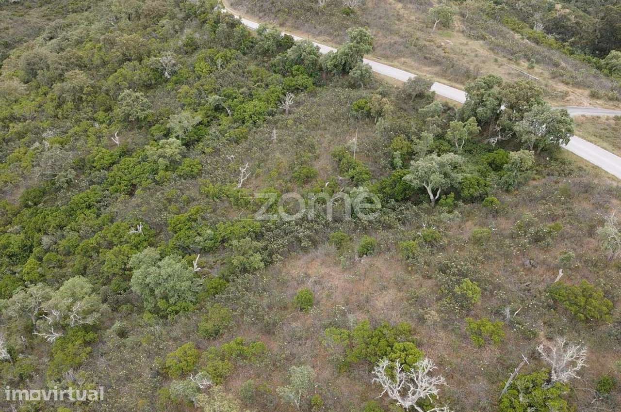Terreno Rústico com 11.000m2 em Monte Velho, São Barnabé - Grande imagem: 2/10