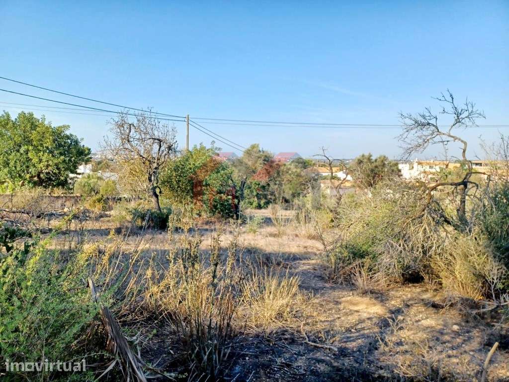 Terreno com PIP para construção de moradia com piscina - Boliqueime - Grande imagem: 3/9