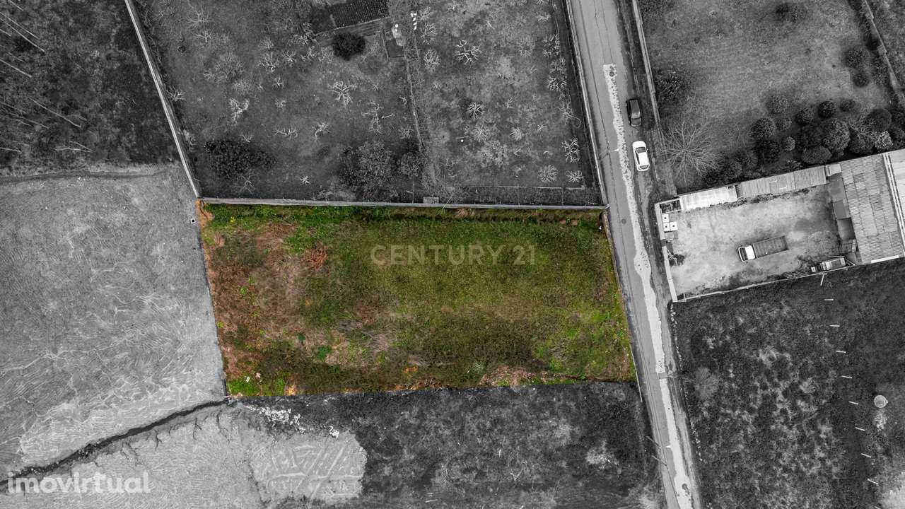 Terreno 1500m2 p/construção - Rio Meão - Grande imagem: 5/12