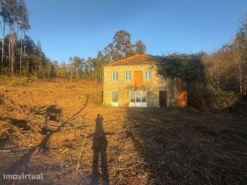 Vendo Quintinha em Viseu - Grande imagem: 3/8