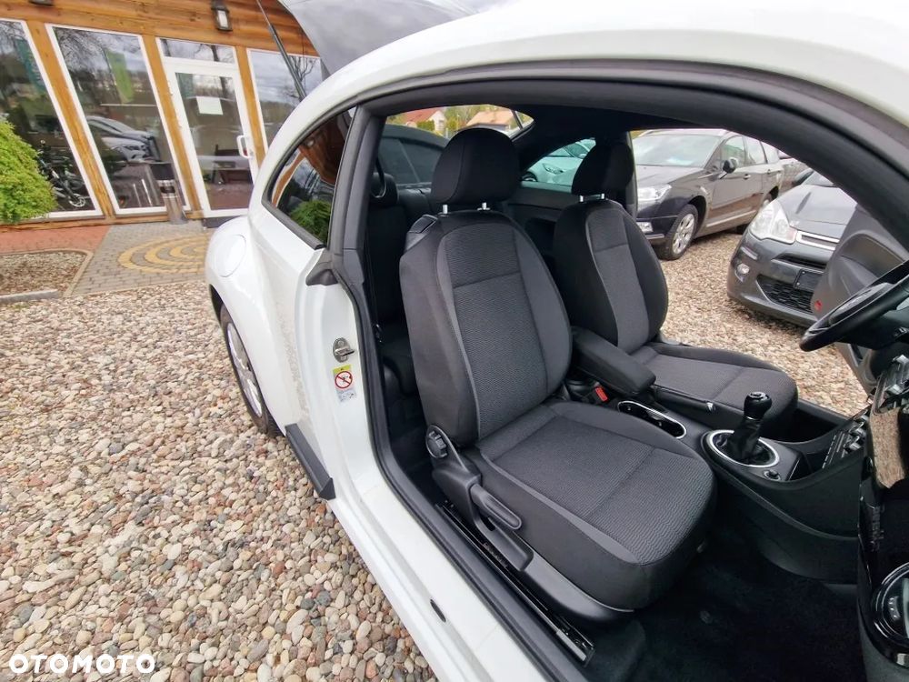 Volkswagen Beetle - 16