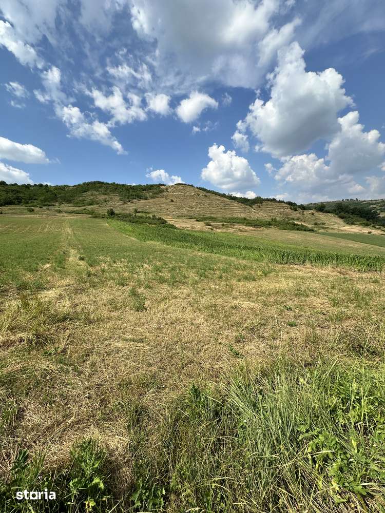 Terenuri intravilane DE VÂNZARE
Strada Lebedei Târnăveni - Imagine principală: 2/7