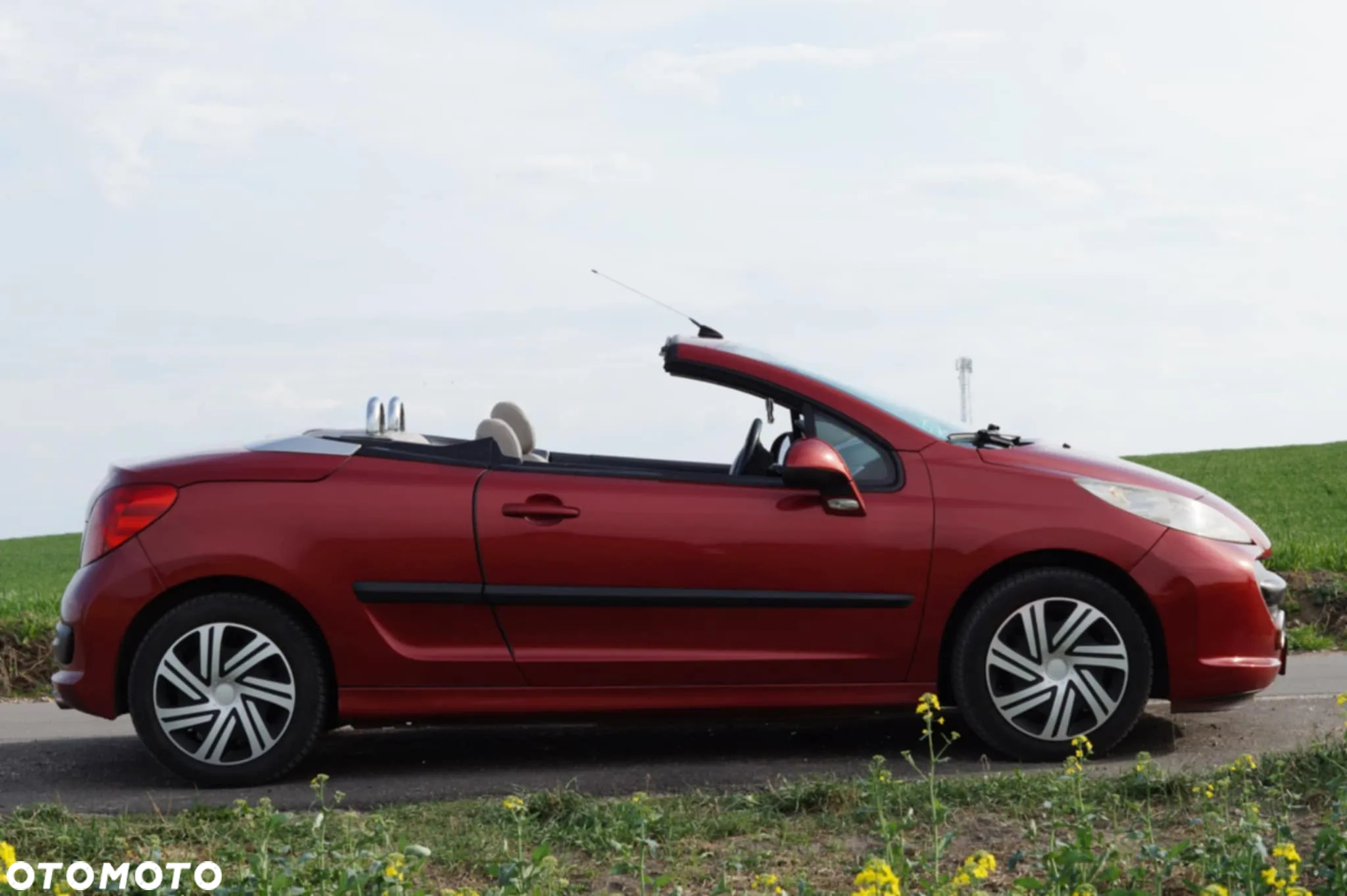 Peugeot 207 CC - 4