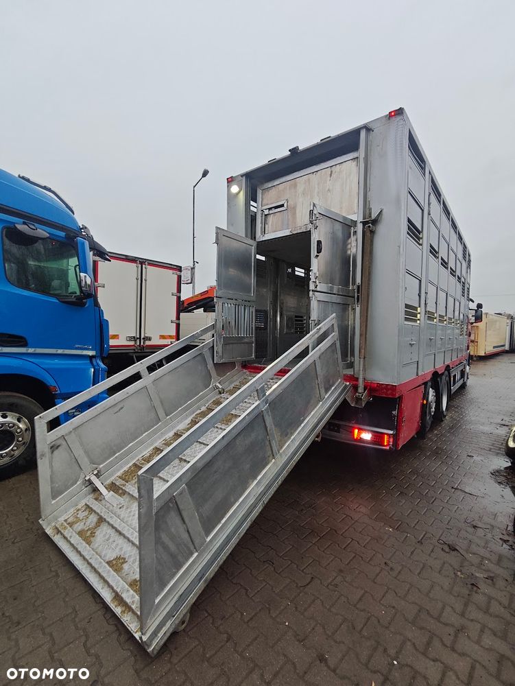 Scania R450 * do żywca * do bydła * świniarka *do trzody - 6