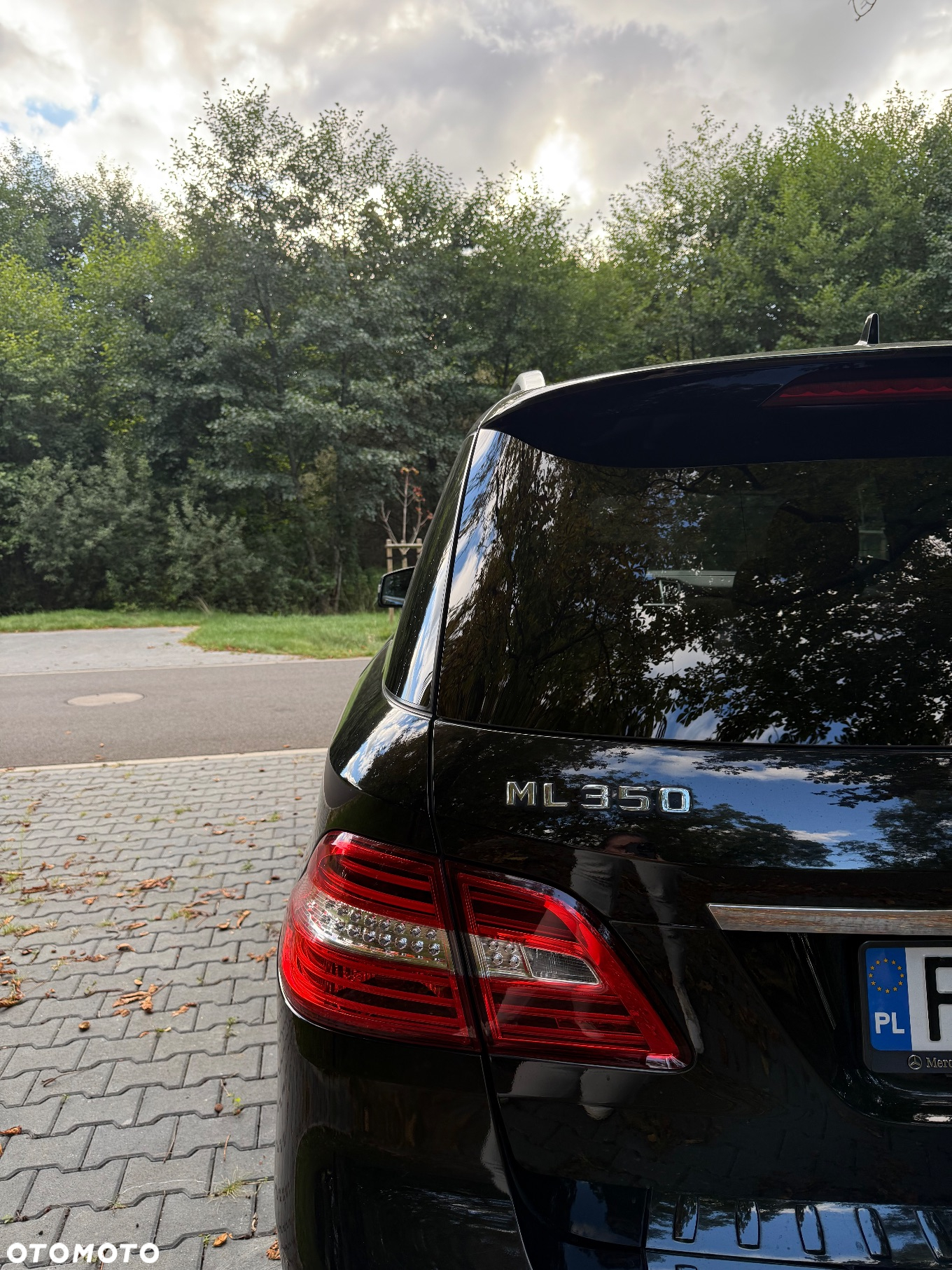 Mercedes-Benz ML 350 BlueTec 4-Matic - 9