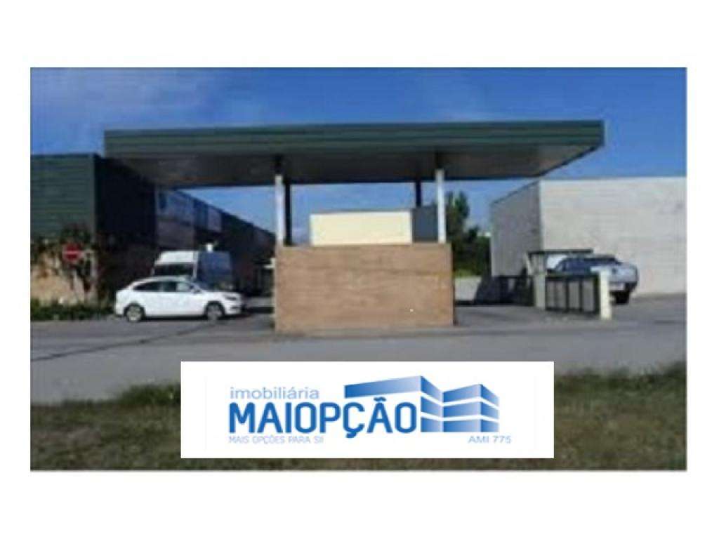 loja em albergaria-a-velha - Grande imagem: 3/7