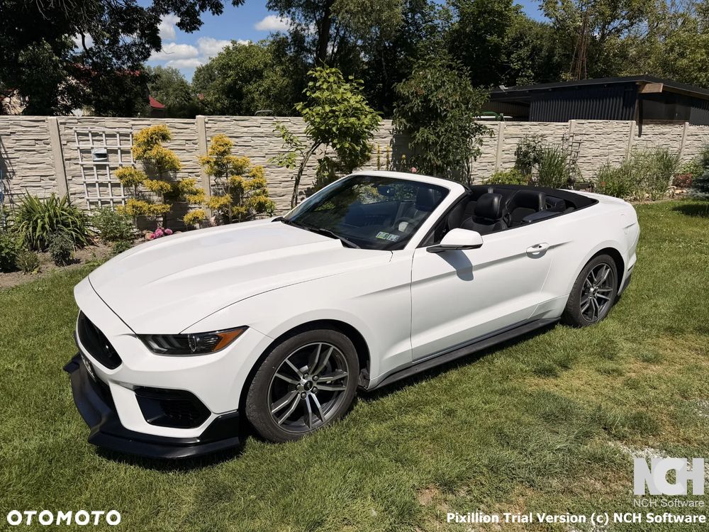 Ford Mustang Cabrio 2.3 Eco Boost - 19