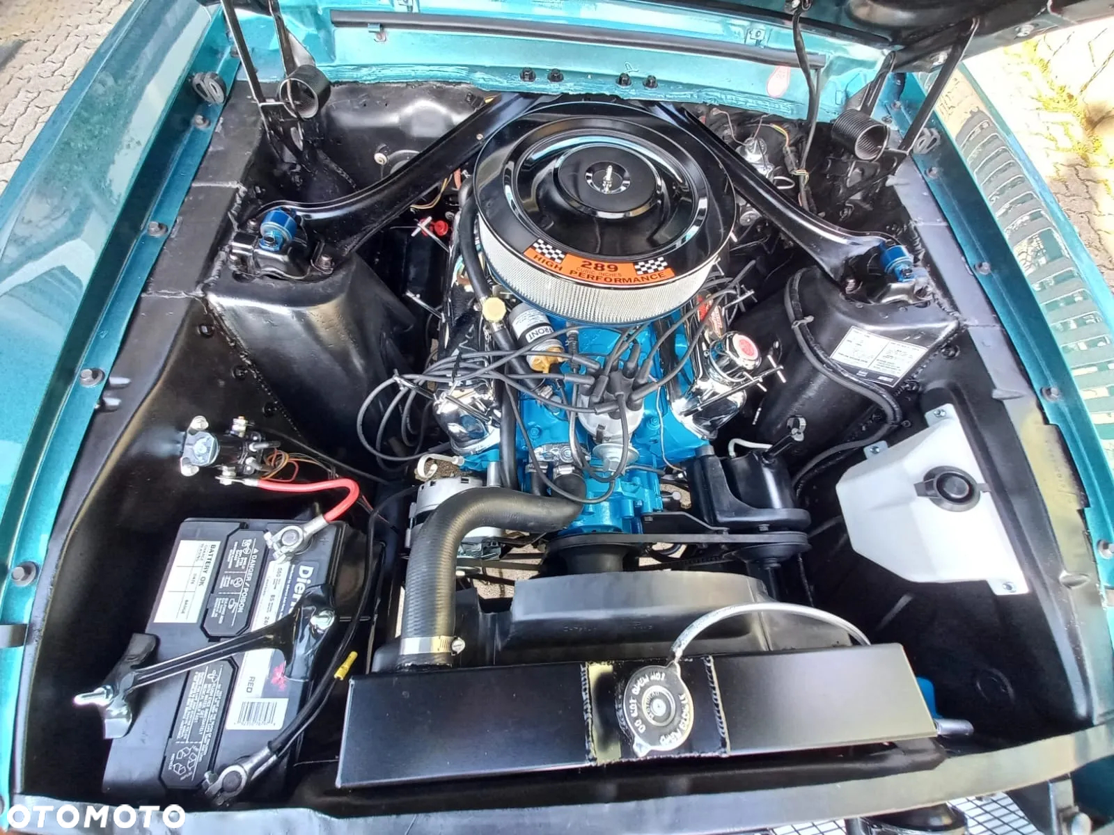 Ford Mustang - 19