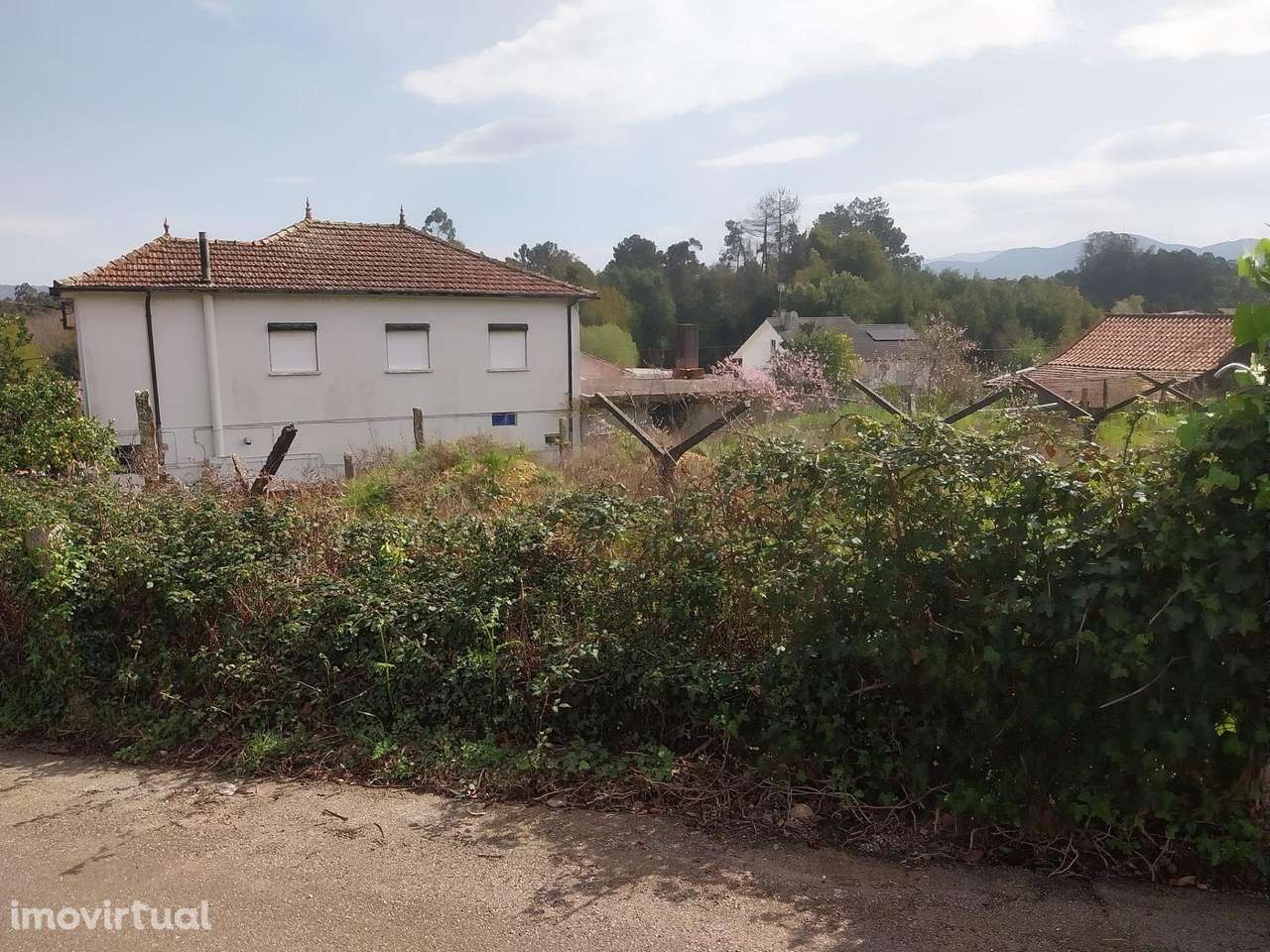 Venda Conjunta de 2 Terrenos Rústicos | Cortes, Monção - Grande imagem: 3/11