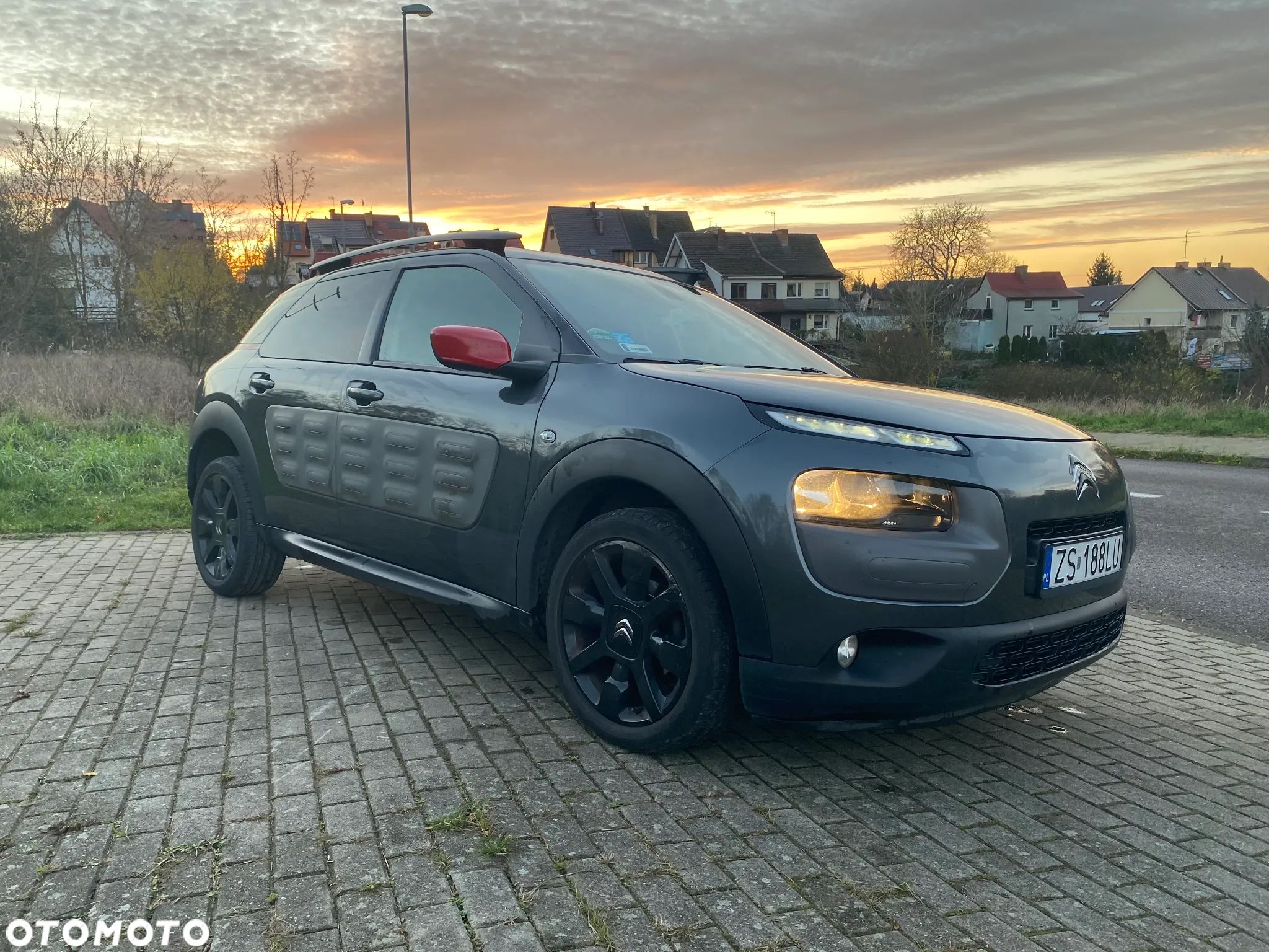Citroën C4 Cactus 1.6 Blue HDi Shine - 1