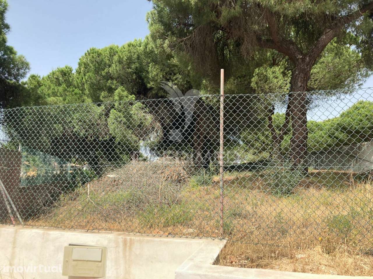 Almancil -Terreno plano Rustico perto de Vale do Lobo - Grande imagem: 3/4