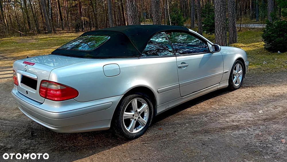 Mercedes-Benz CLK - 26