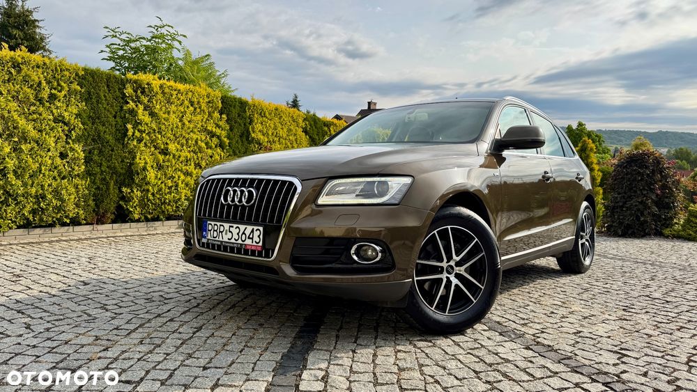 Audi Q5 - 31
