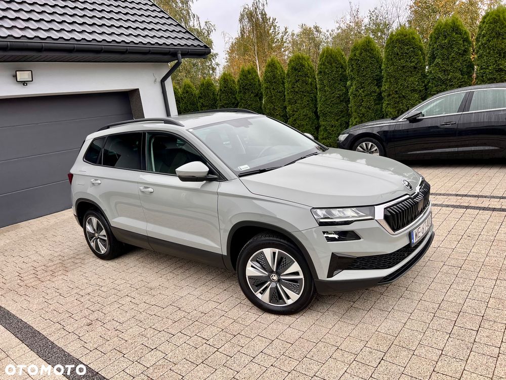 Skoda Karoq - 22
