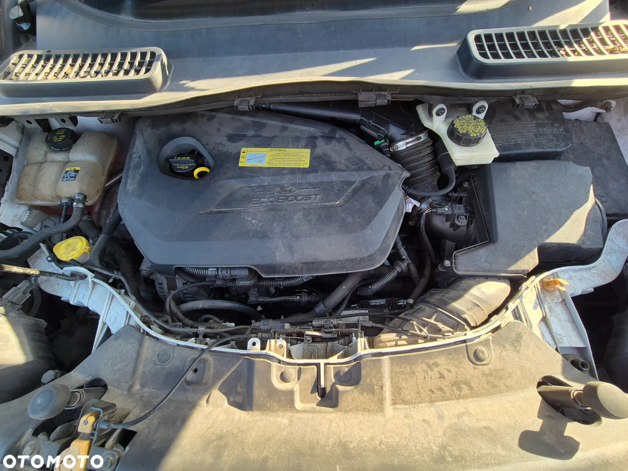 Ford Escape 1.6 EcoBoost FWD SE - 28