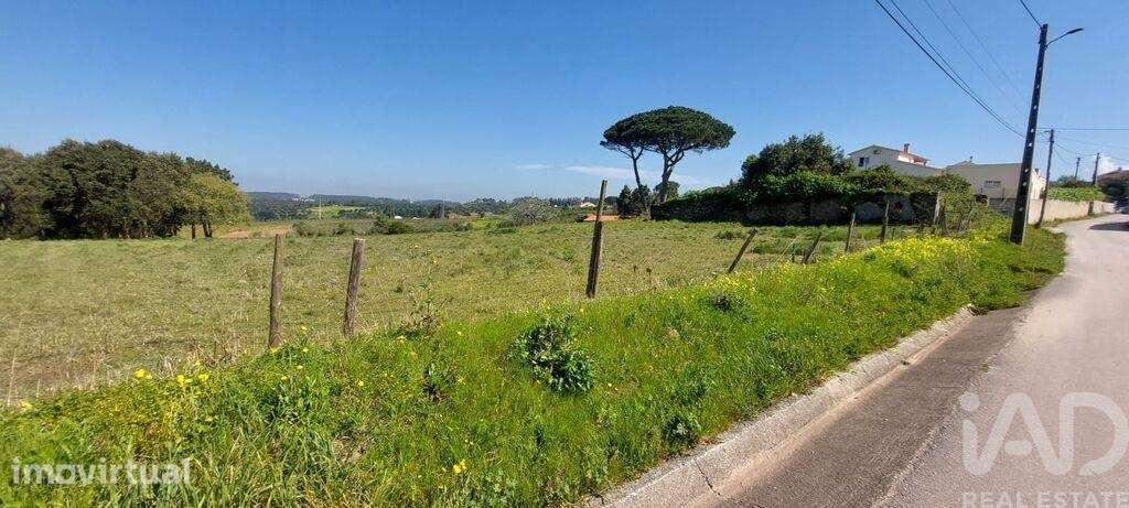 Terreno para construção em Aljubarrota - Grande imagem: 4/6
