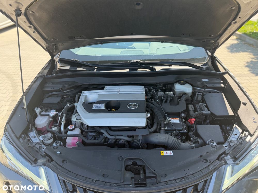 Lexus UX 250h GPF Business Edition AWD - 21