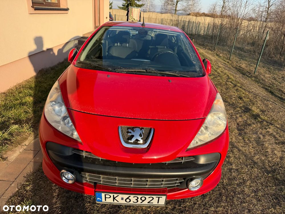 Peugeot 207 - 31