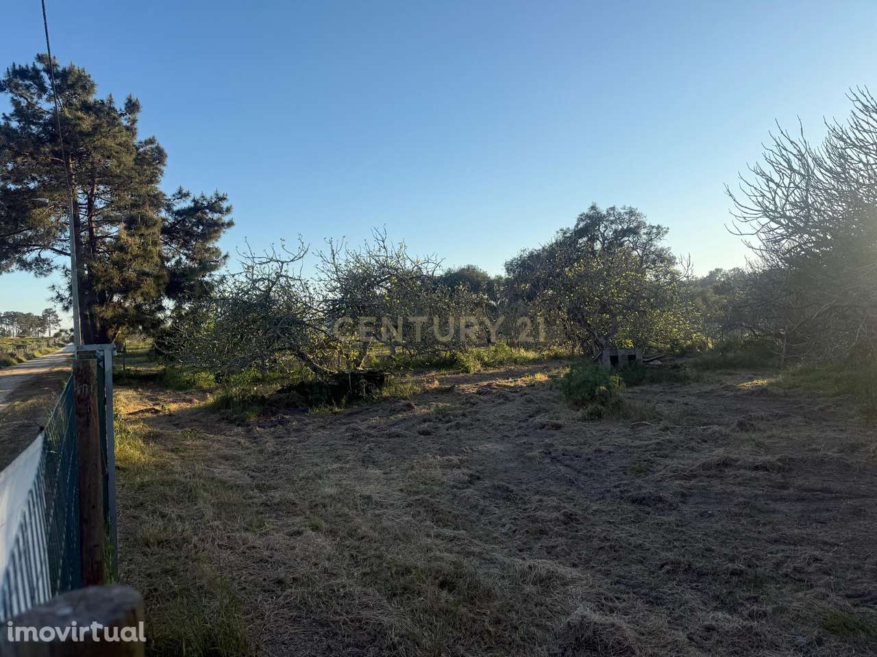 Encantadora Propriedade para Recuperação - Terreno de 4000 m2 - Grande imagem: 4/15