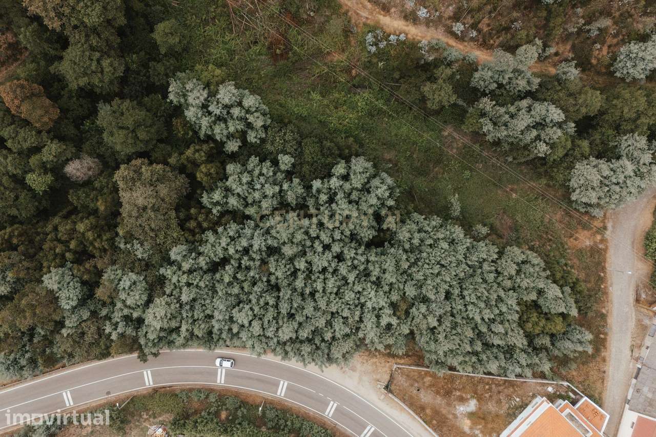 Terreno Misto com Duas Frentes - Medas, Gondomar - Grande imagem: 4/5