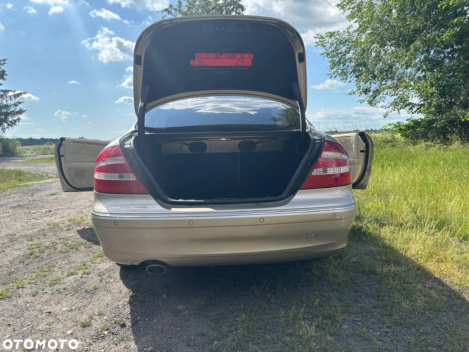 Mercedes-Benz CLK - 29