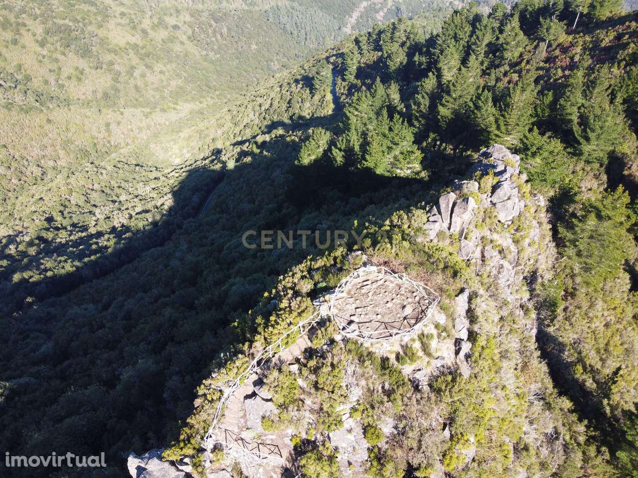 Terreno Laurissilva - Santana - Grande imagem: 4/15