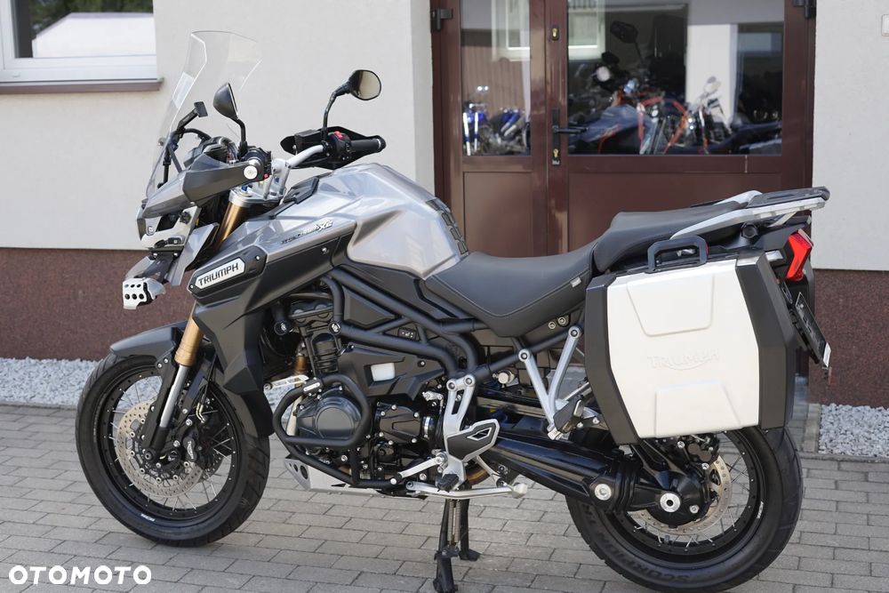 Triumph Tiger - 19