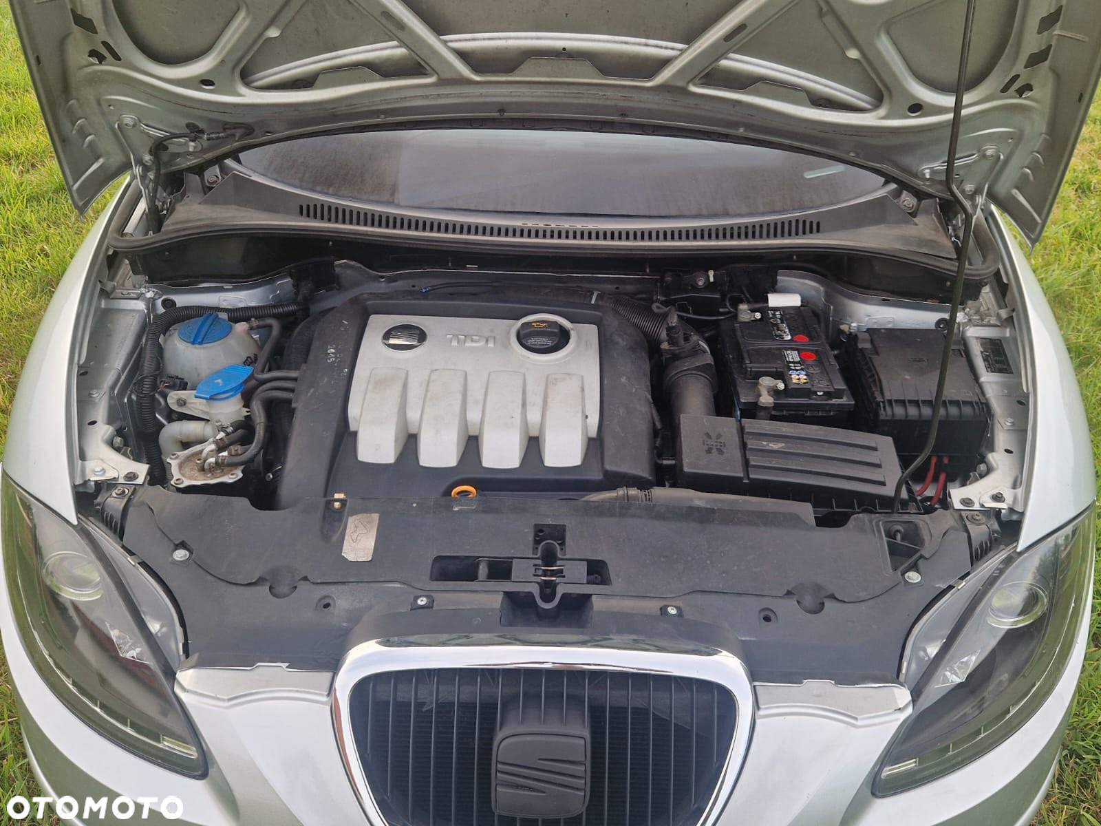 Seat Altea - 8