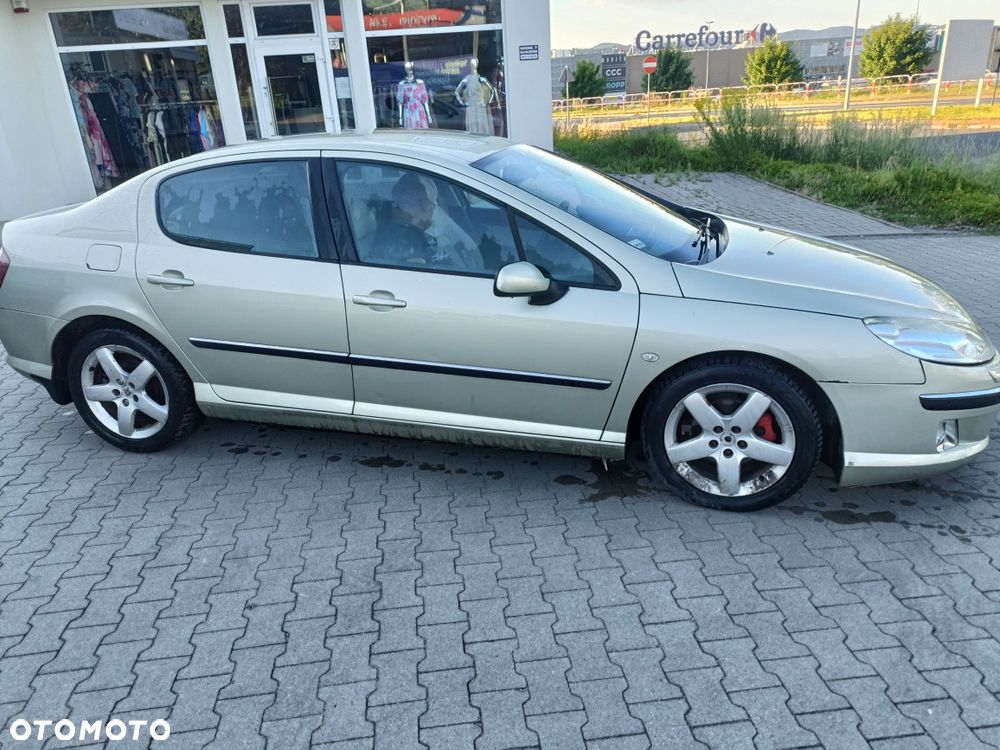 Peugeot 407 - 8