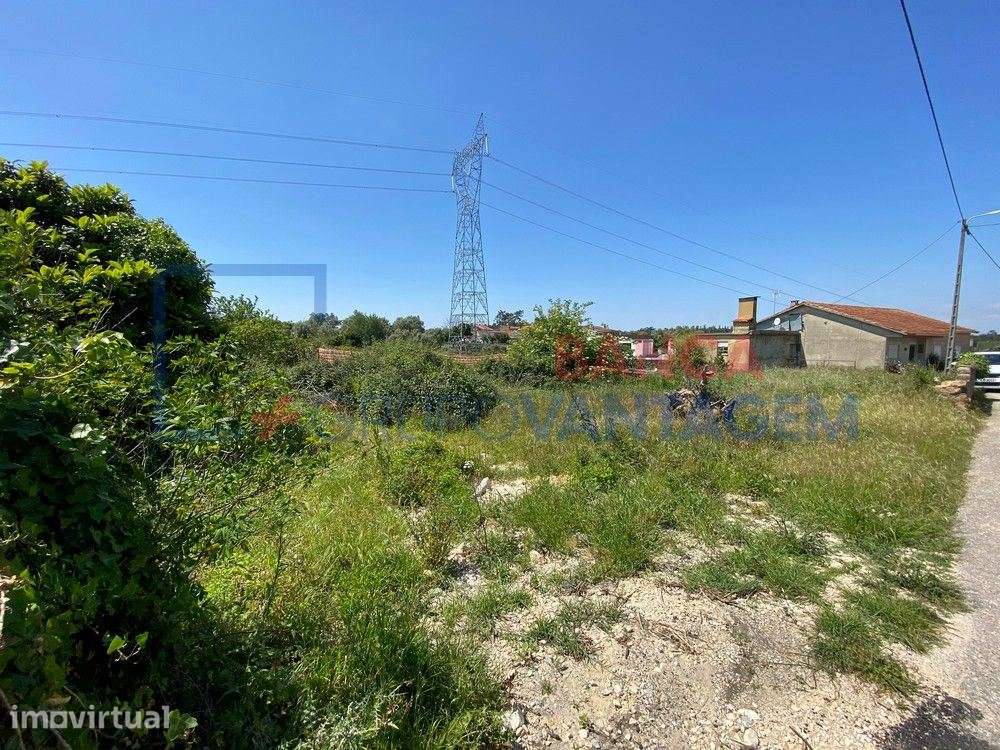 Terreno p/ moradia, para venda, Anadia - Amoreira da Gândara, Pared... - Grande imagem: 5/7