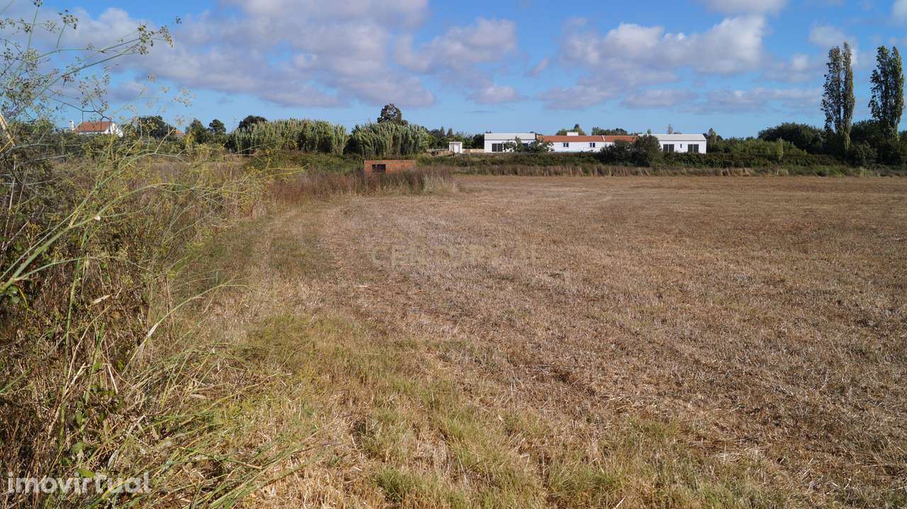 Terreno Agrícola à Venda – Brescos - Grande imagem: 3/30