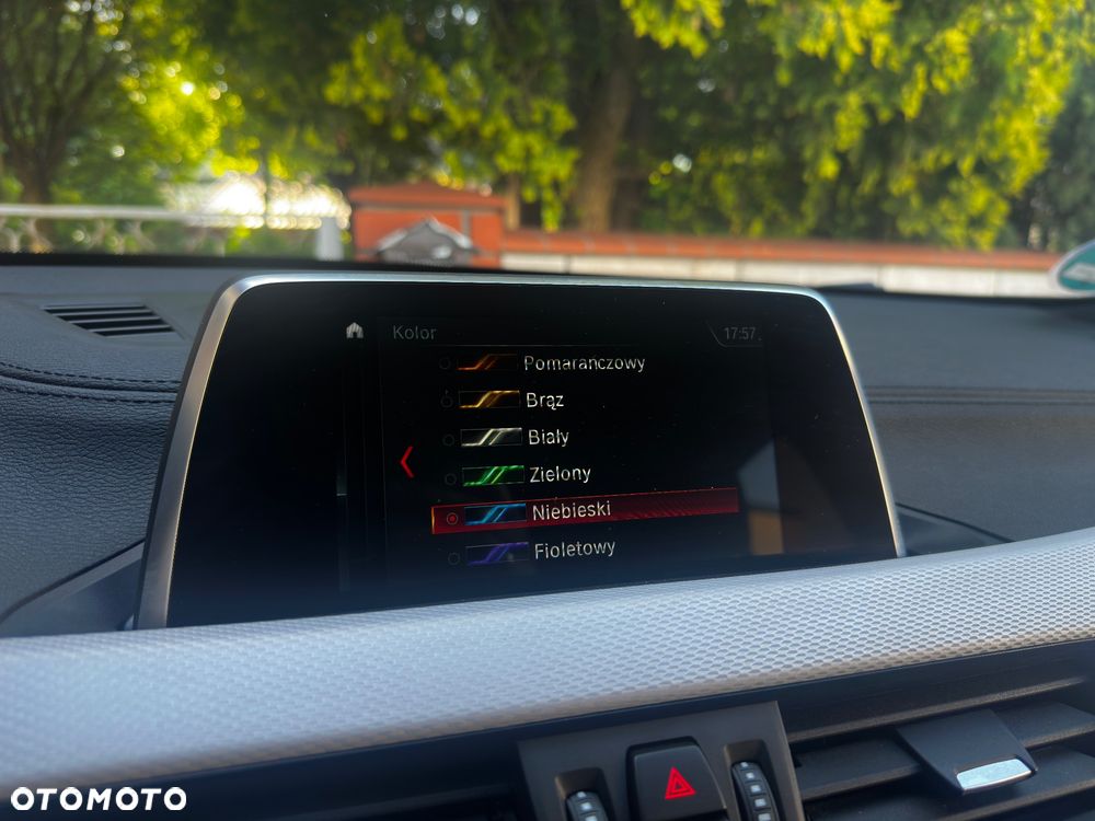 BMW X2 xDrive20i M Sport sport - 36