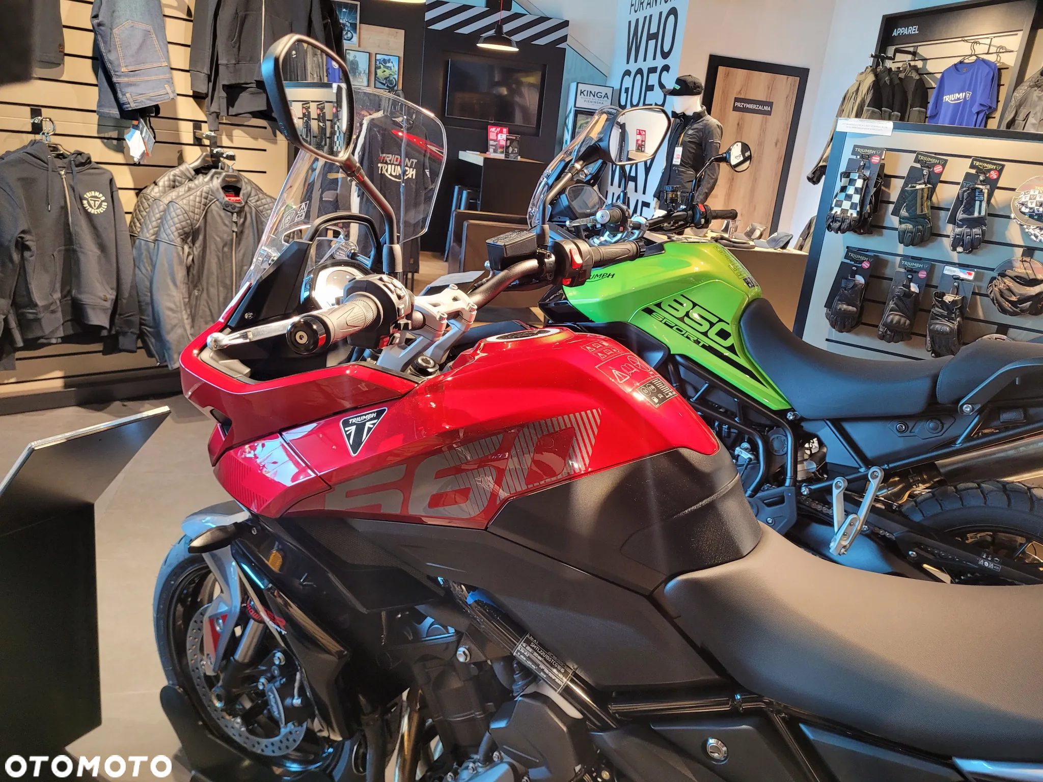 Triumph Tiger