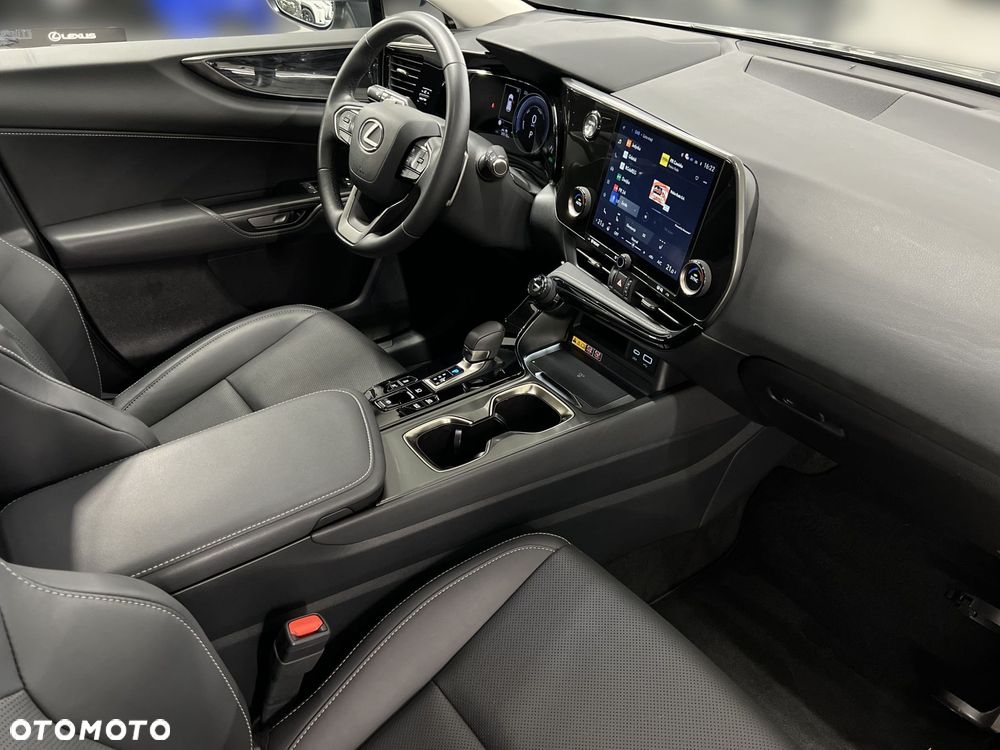 Lexus NX - 10
