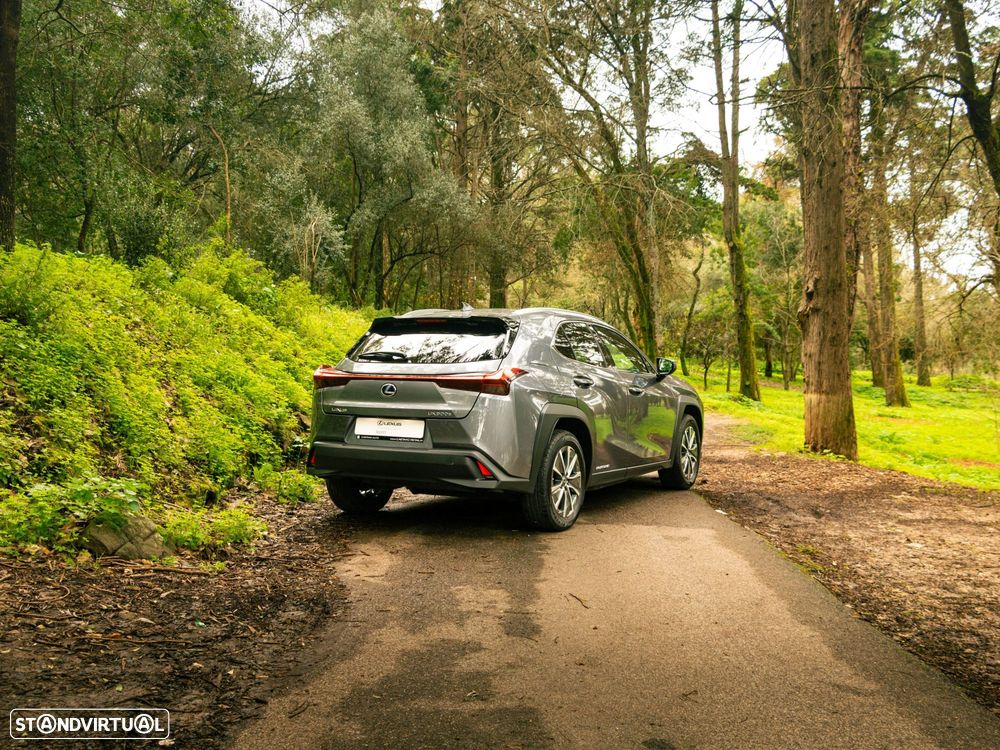 Lexus UX 300e Premium+TAE - 9