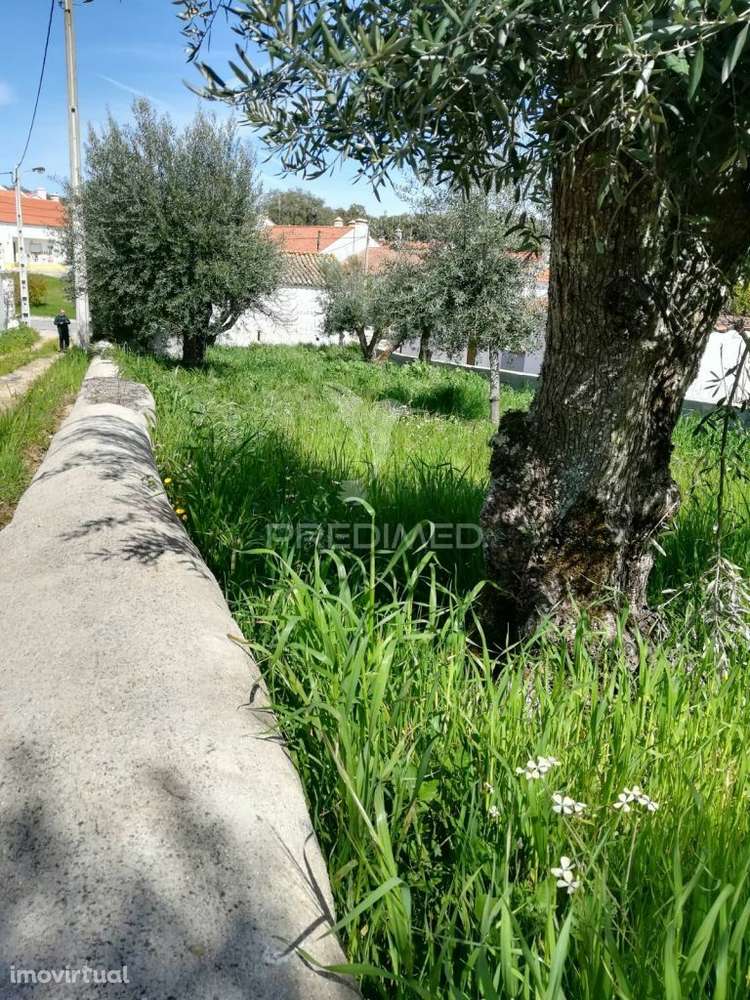Monte Meira situado na Urra - Grande imagem: 3/4