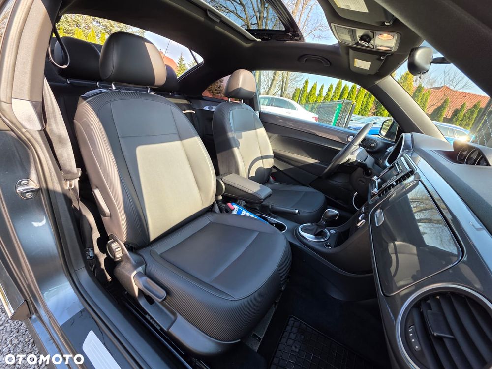 Volkswagen Beetle - 19