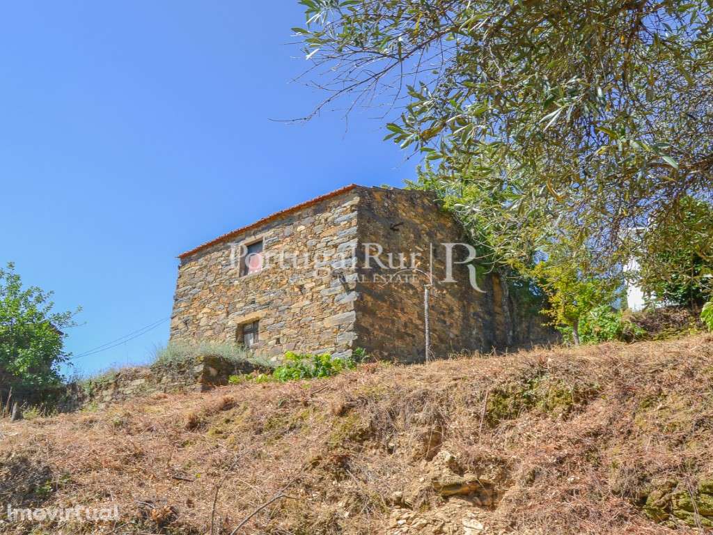 Quintinha com 4 hectares e 2 construções em aldeia da Beira Baixa - Grande imagem: 3/39