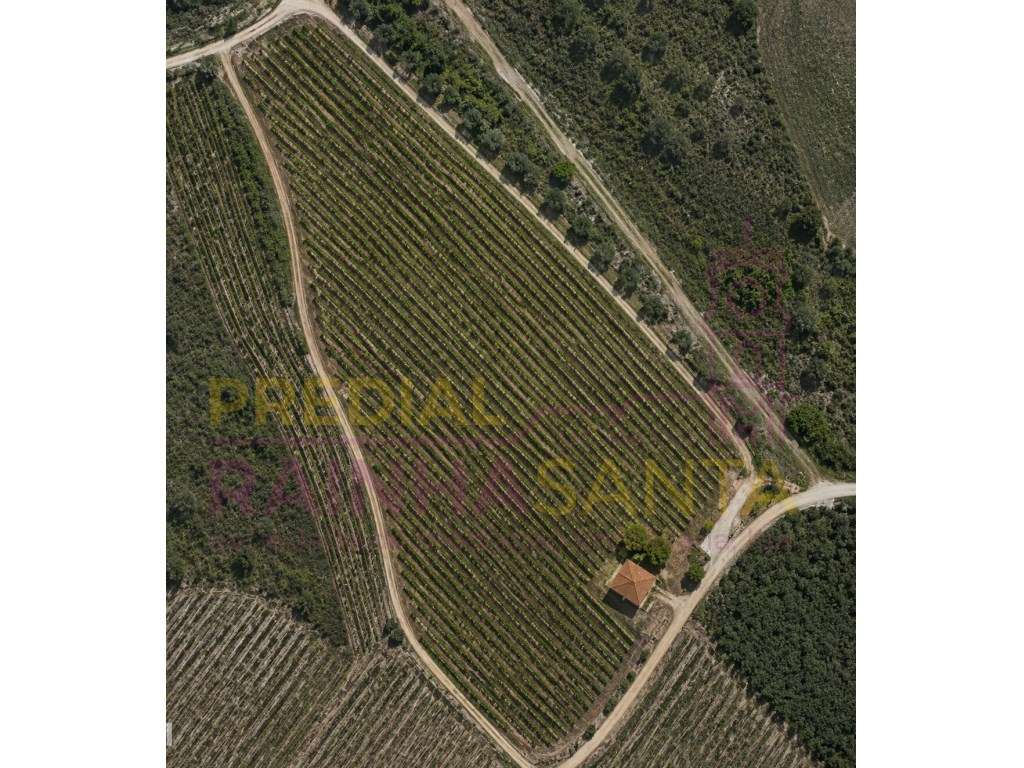 Terreno rústico com 3,5 hectares, furo e sistema de rega em Casalin... - Grande imagem: 2/7