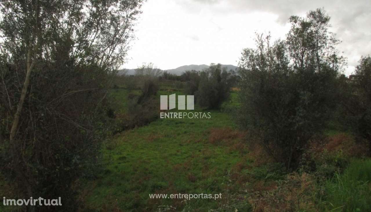 Venda de terreno com 2500m², Lanheses, Viana do Castelo - Grande imagem: 2/30