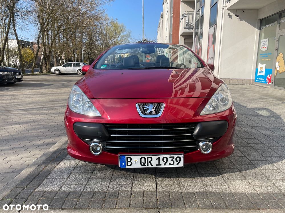 Peugeot 307 2.0 Sporty - 16